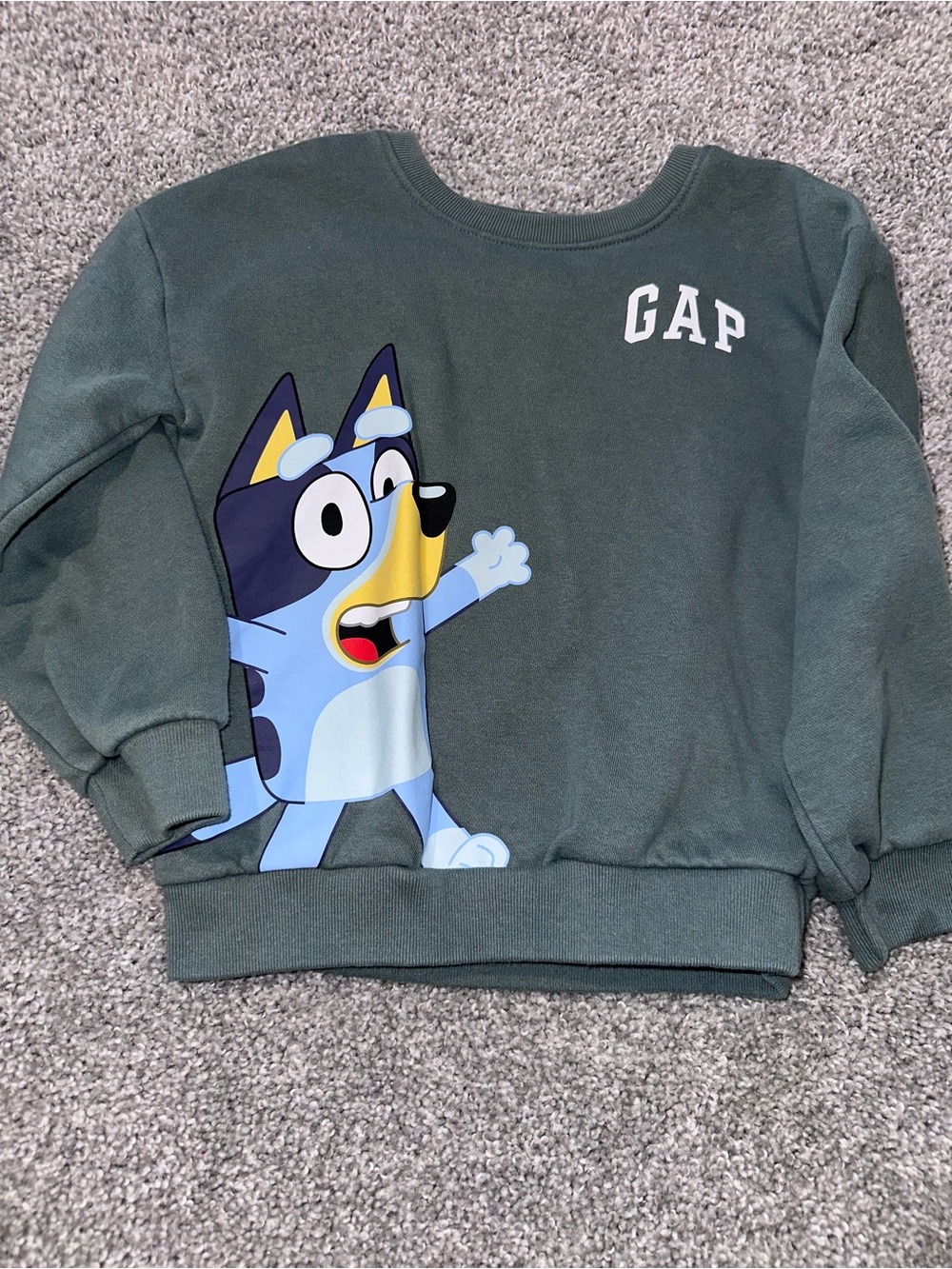 GAP Forest Green Bluey Character Sweatshirt